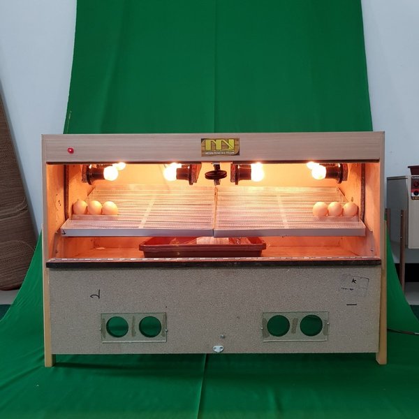 Jenis Mesin Tetas dan Keunggulannya, Podomoro Poultry Equipment